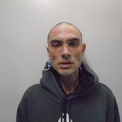 Photo of man with shaved head and grey hoodie