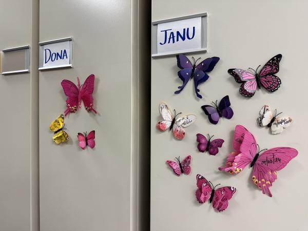 12 colourful butterfly magnets are attached to two filing cabinet doors.