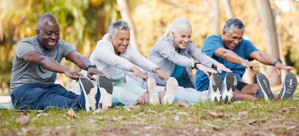 Four seniors stretching in the park