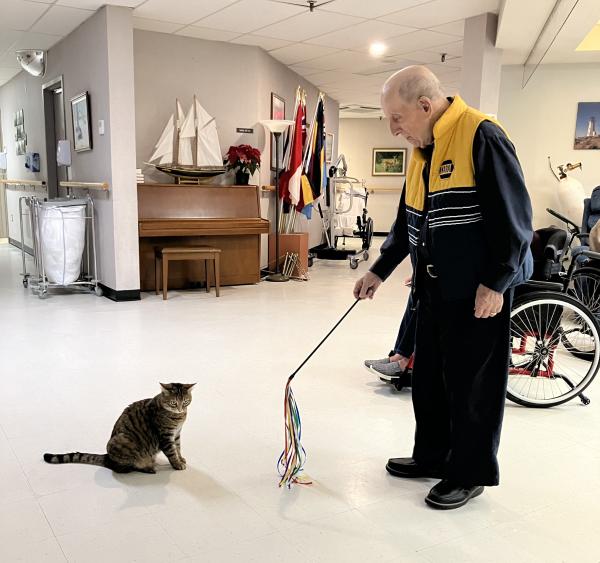 Poppy the cat and a resident playing together with a string toy