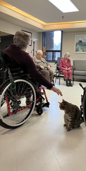 Poppy the cat being pet by a resident